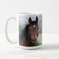 Cheval sauvage de la montagne Pryor "Ula"