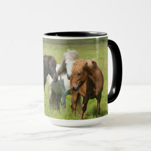 Mug Chevaux dans le ranch, sud de l'Islande