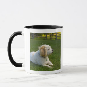 Mug Chien blanc