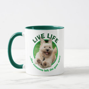 Mug Chien Courant Dans Le Jardin