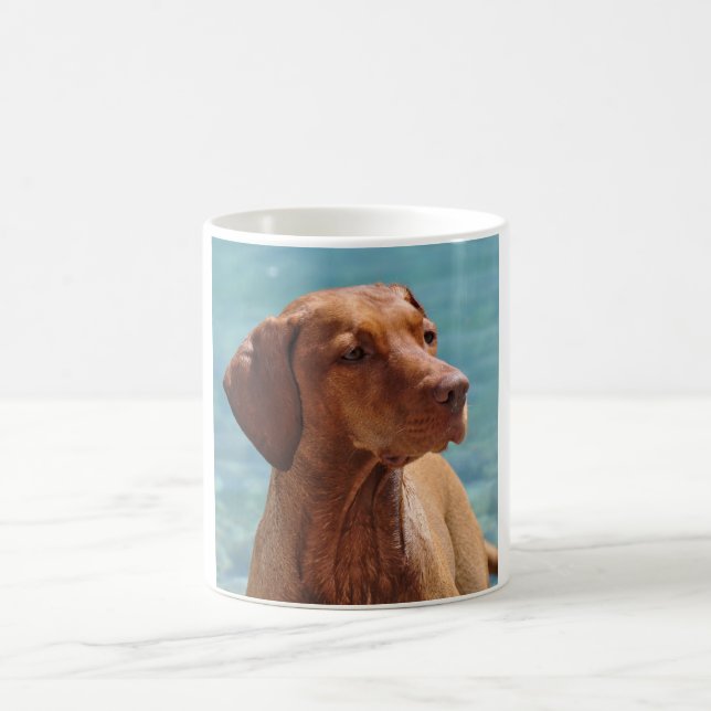 Mug Chien magyar de Vizsla (Centre)