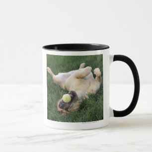 Mug Chien s'étendant upside-down dans l'herbe avec de