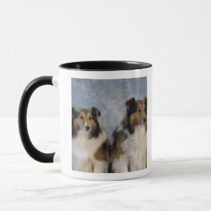 Mug Chiens de berger de Shetland