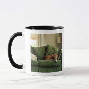 Mug Chiens dormant sur le sofa