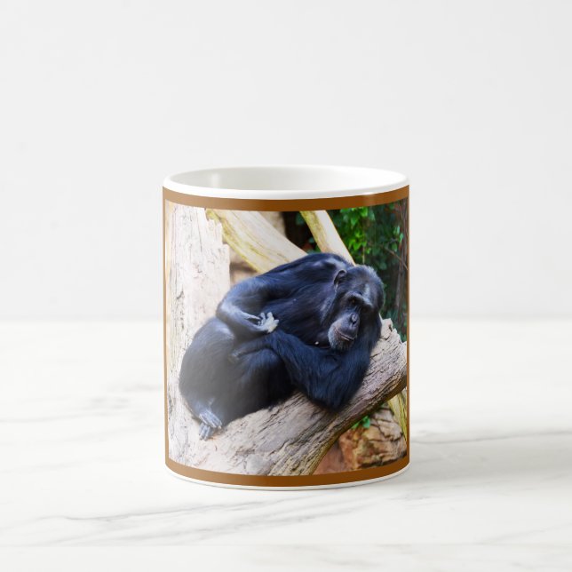 Mug Chimpanzé (Centre)