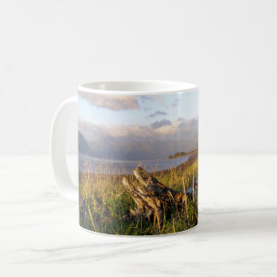 Mug Chinitna Bay - Parc national de l'Alaska