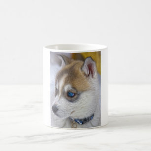 Mug Chiot 2 de chien de traîneau sibérien