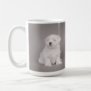 Mug Chiot maltais