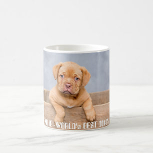 Mug Chiot Pitbull doré Nom et photo personnalisés