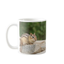 Chipmunk sur un rocher