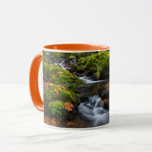 Mug Chutes de Starvation Creek Columbia Gorge, Orego