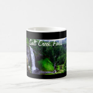 Mug Chutes pittoresque de Salt Creek