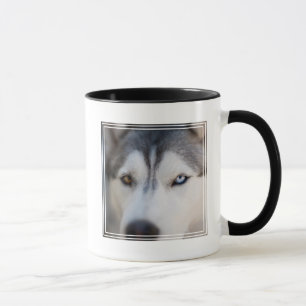 Mug Closeup Stoic Gazaouit