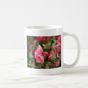 Mug Cognassier à fleurs roses de printemps