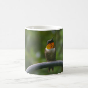 Mug Colibri