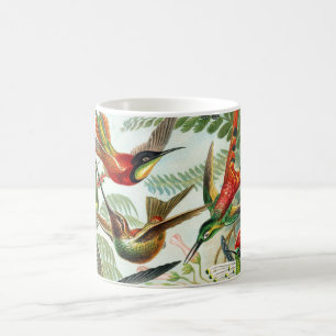 Mug Colibris par Ernst Haeckel (2)