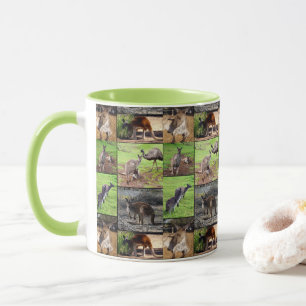 Mug Collage photo de Kangaroo,