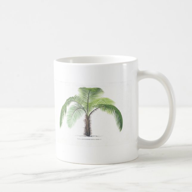Mug collection tropicale de palmier - dessin VI (Droite)