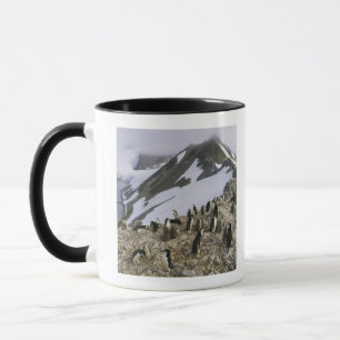 Mug Colonie des pingouins de jugulaire