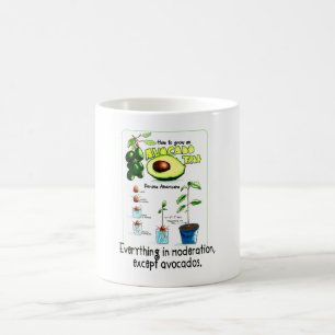 Mug Comment Cultiver Un Avocat
