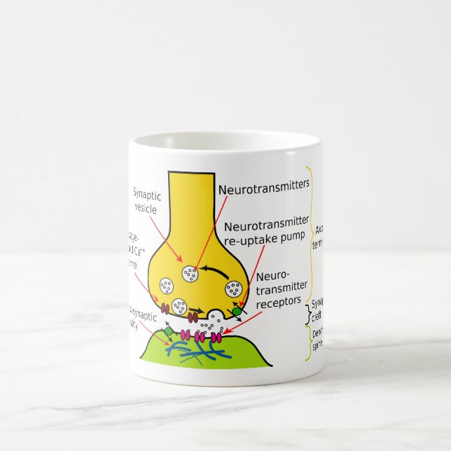 Mug Comment des signaux de nerf sont envoyés avec des (Centre)