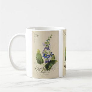 Mug Companula par Paul Jerrard