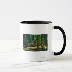 Mug Connexion automatique dans la forêt géante, séquoi