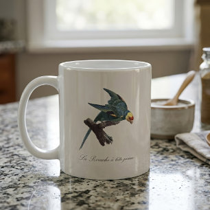 Mug Conure de Caroline, Conuropsis carolinensis