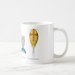 Mug Copepods