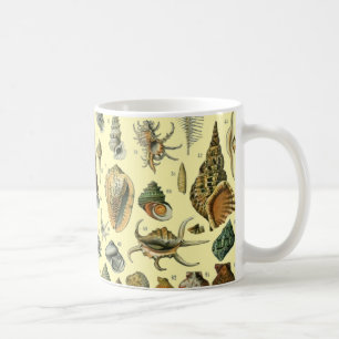 Mug Coquillages de coquillages Mollusk Clam Élégant Ar