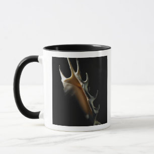 Mug Coquille de conque