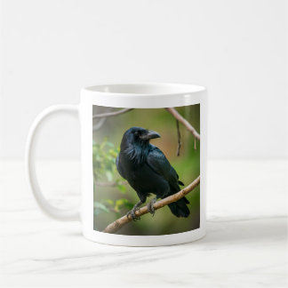 Mug Corbeau sur une branche d'arbre