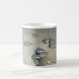 Mug Crabes en fer à cheval dans l'eau