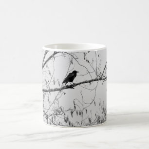 Mug Crow dans un Birch Tree