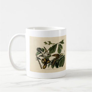 Mug Cuckoo à bec jaune - Audubon's Birds of America