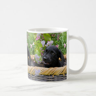 Mug Cuisine Black Labrador Retriever Chien Chiot Chiot