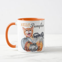 Cute Peek a Boo Orange Chat Bonjour Nom du Citroui