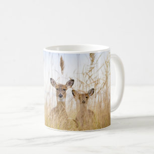 Mug Cutest Baby Animals   Two Young White Tailed Deer