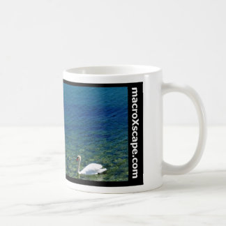 Mug cygne solitaire dans l'océan bleu