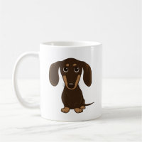 Dachshund au chocolat court | Petit chien Wiener