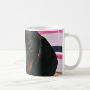 Mug Dachshund Chiot Animaux Canins