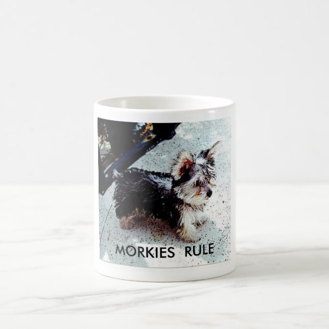 MUG DALILA, RÈGLE DE MORKIES (Centre)