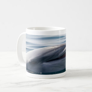 Mug Dauphin souriant s'élevant au-dessus de l'eau bleu