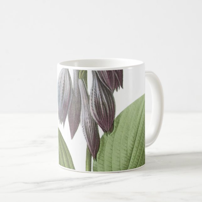 Mug daylily (Hemerocallis caerulea) par Redouté (Devant droit)