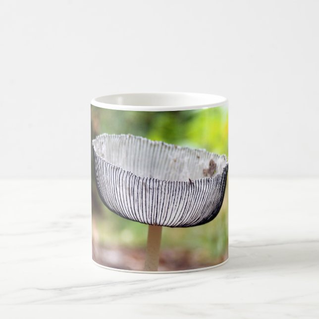 Mug de champignons de bouillon de bouillon de bouc (Centre)