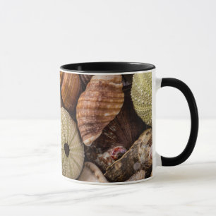 Mug de coquilles marines mixtes