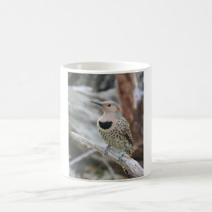 Mug de Flickr du Nord