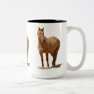 Mug de l'animalier amateur de chevaux