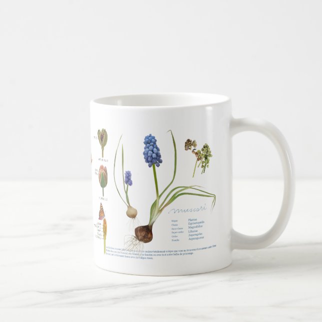 Mug De notre jardin vivace. (Droite)