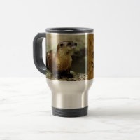 Aimable Otter et Funny Message personnalisent